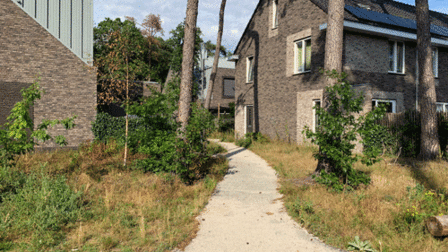 Voetgangerspad tussen woningen door met bomen aan de zijkant
