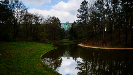 Vijver met grasveld en bomen
