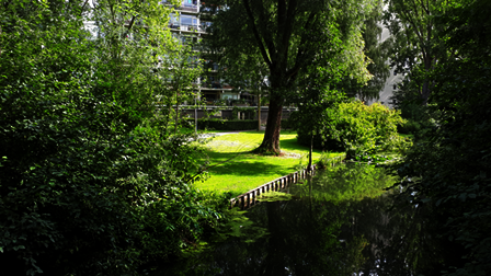 De Grift in Nijenheim