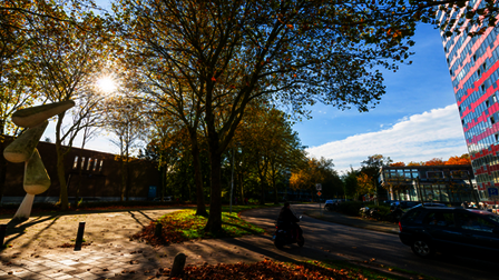 Kunstwerk tussen de bomen en rechts de weg