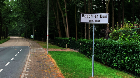 Wit plaatsnaambord Bosch en Duin langs de weg