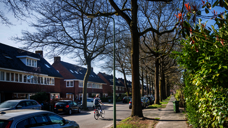 Fietser op rijbaan Laan van Cattenbroeck